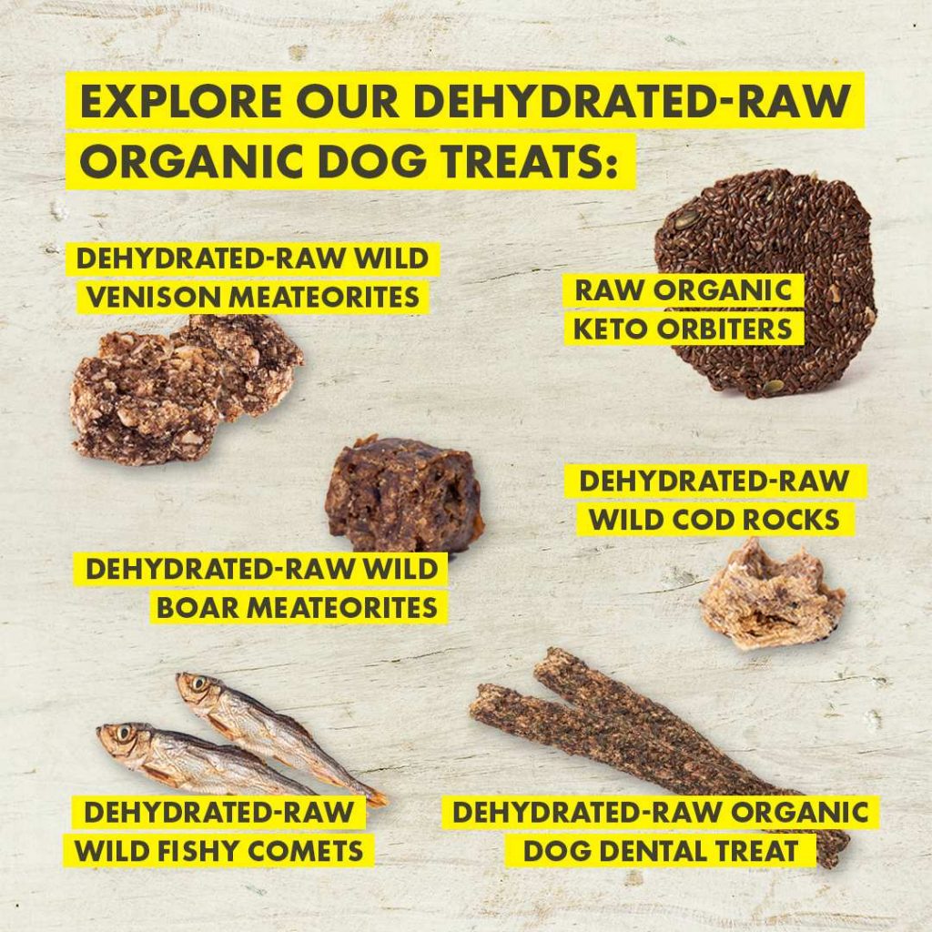 How Dehydrated Dog Food Is Made ROCKETO