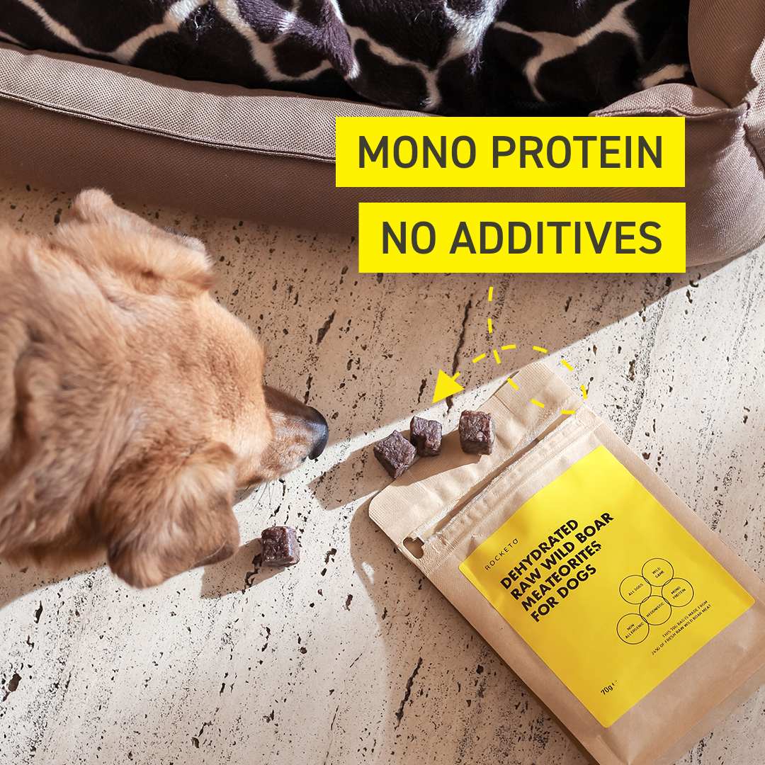 Wild Game Sale ROCKETO