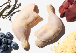 Chicken