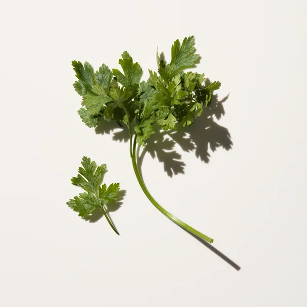 Parsley