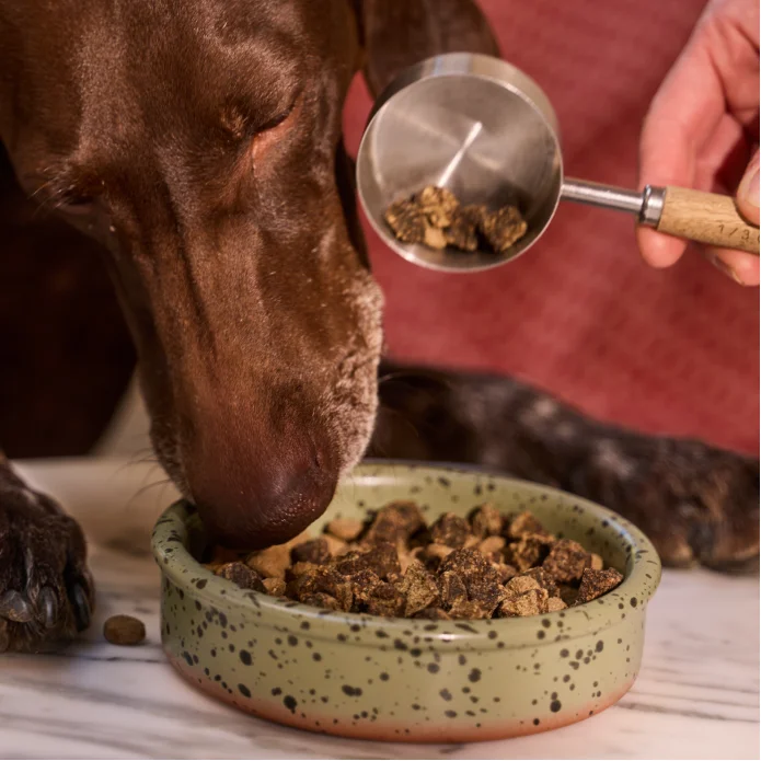 A dog eating from a bowl as a scoop of Rocketo is added