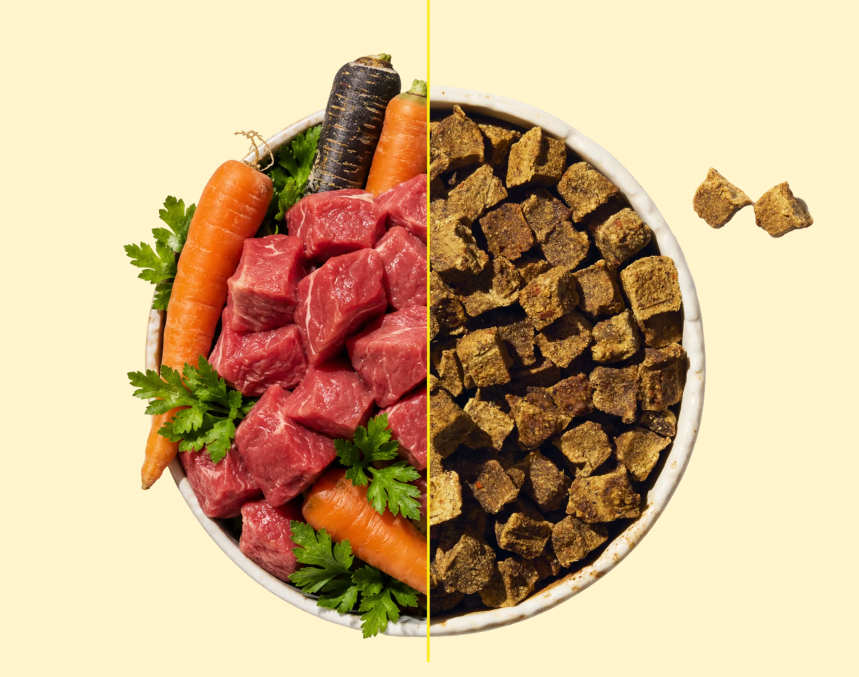 A bowl split in half: raw beef, carrots and parsley on the left, air-dried Rocketo cubes on the right